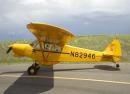 Used Piper Super Cub Airplane For Sale