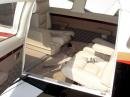 Piper Seneca Ii Airplane For sale Dealer located at Naples, Florida, USA