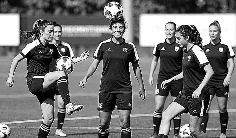 Hành trình vô địch AFF Cup 2026 của Việt Nam: Từ phòng ngự phản công đến phép màu của Kim Sang-sik